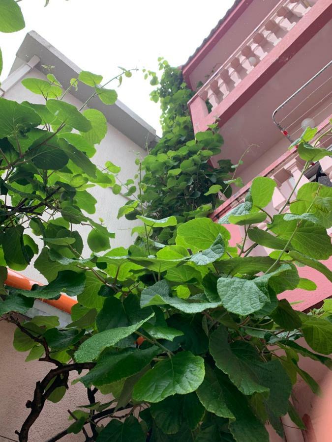 Rooms Kuljic Budva Exterior foto